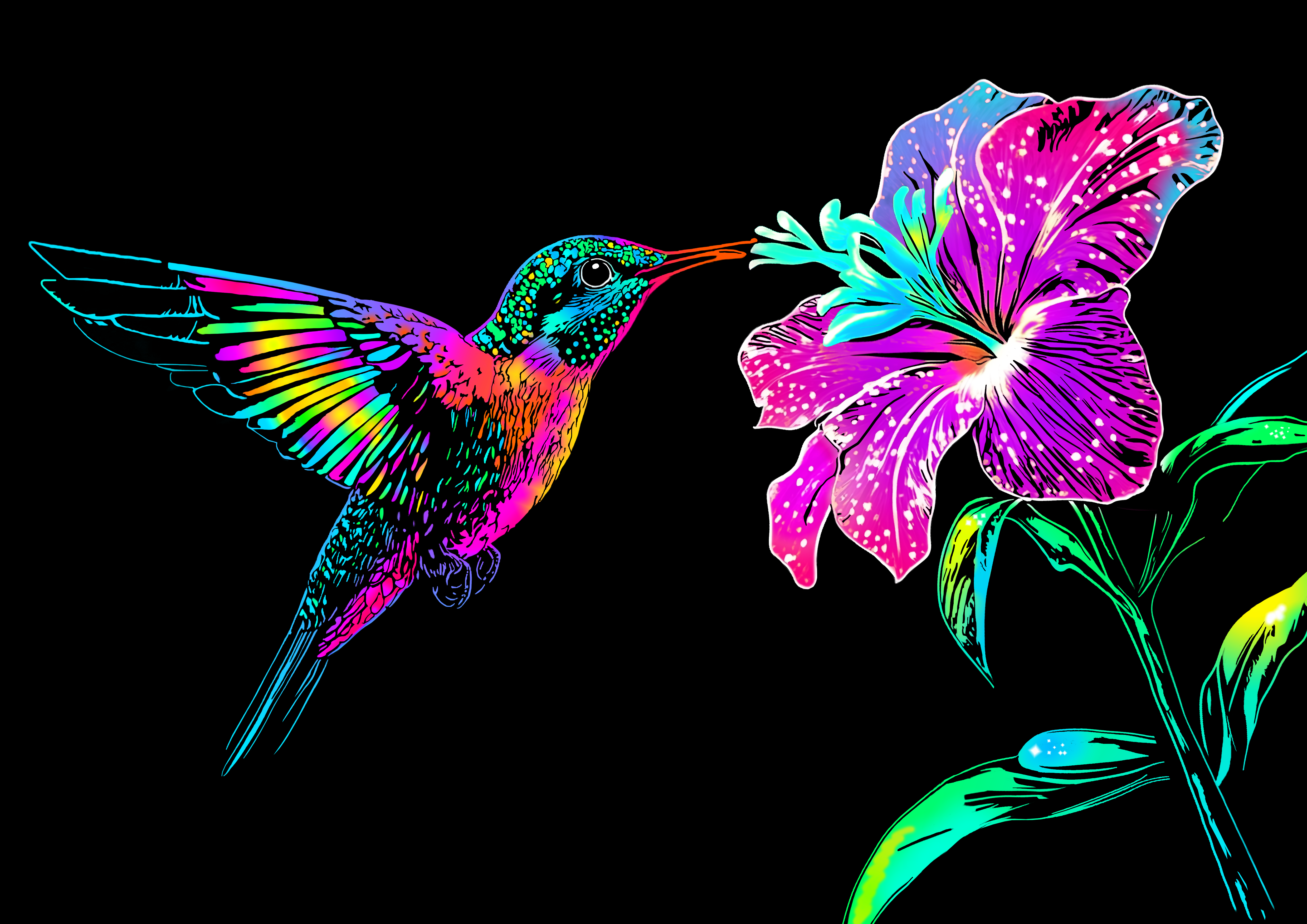 Hummingbird scratch-art canvas