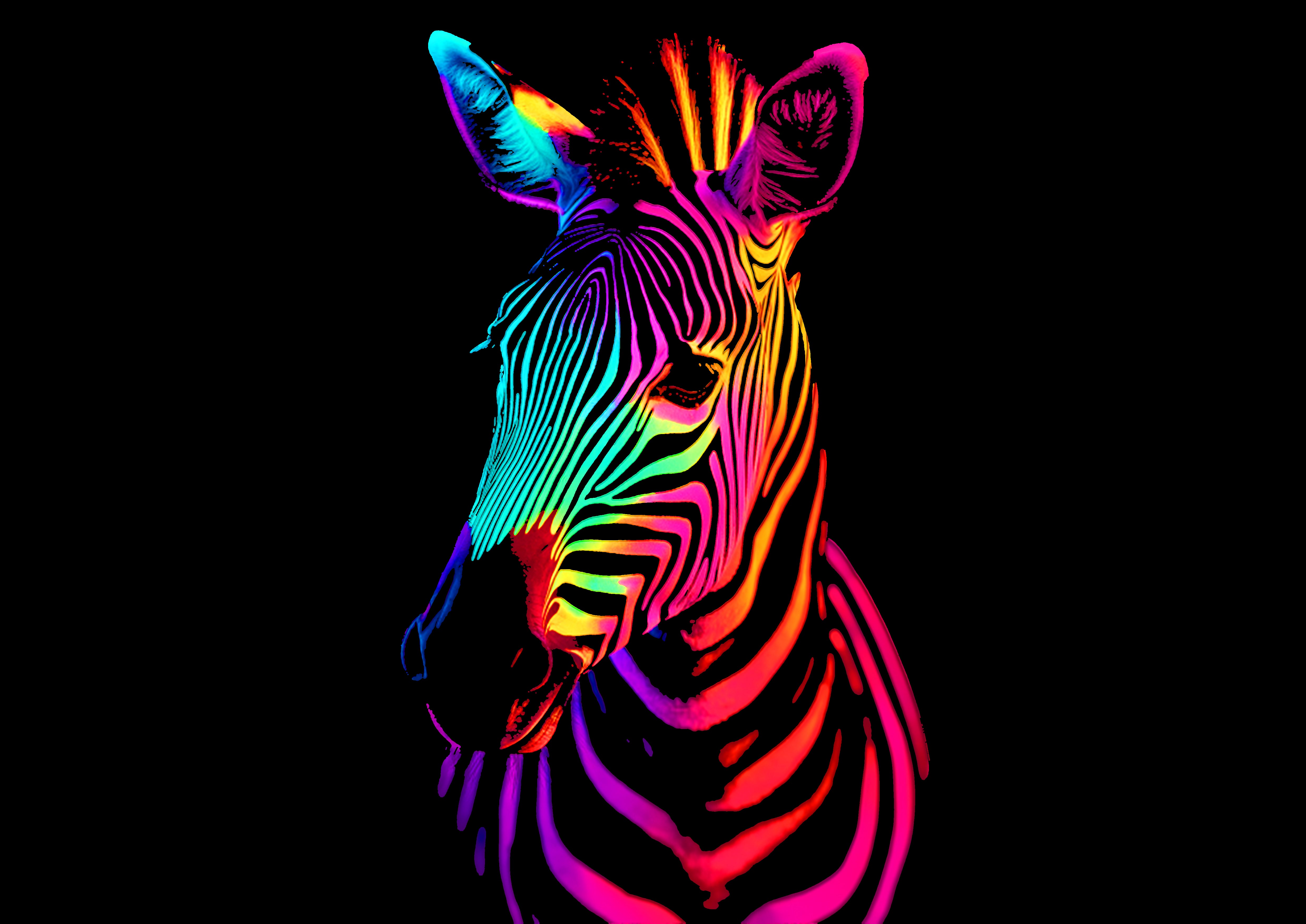 Wildlife Jungle Set — Zebra, Lion, Jaguar, Elephant
